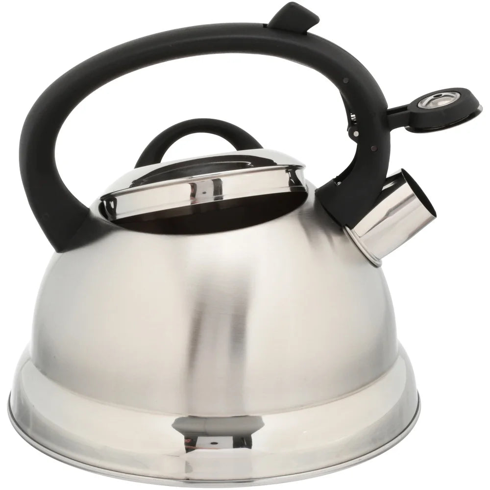 Stainless Steel Whistling Tea Kettle Induction Compatible Flip Up Spout